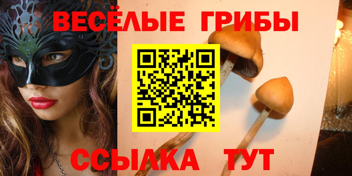наркошоп  Вход с VPN  Ковров  Псилоцибиновые грибы Magic Shrooms 